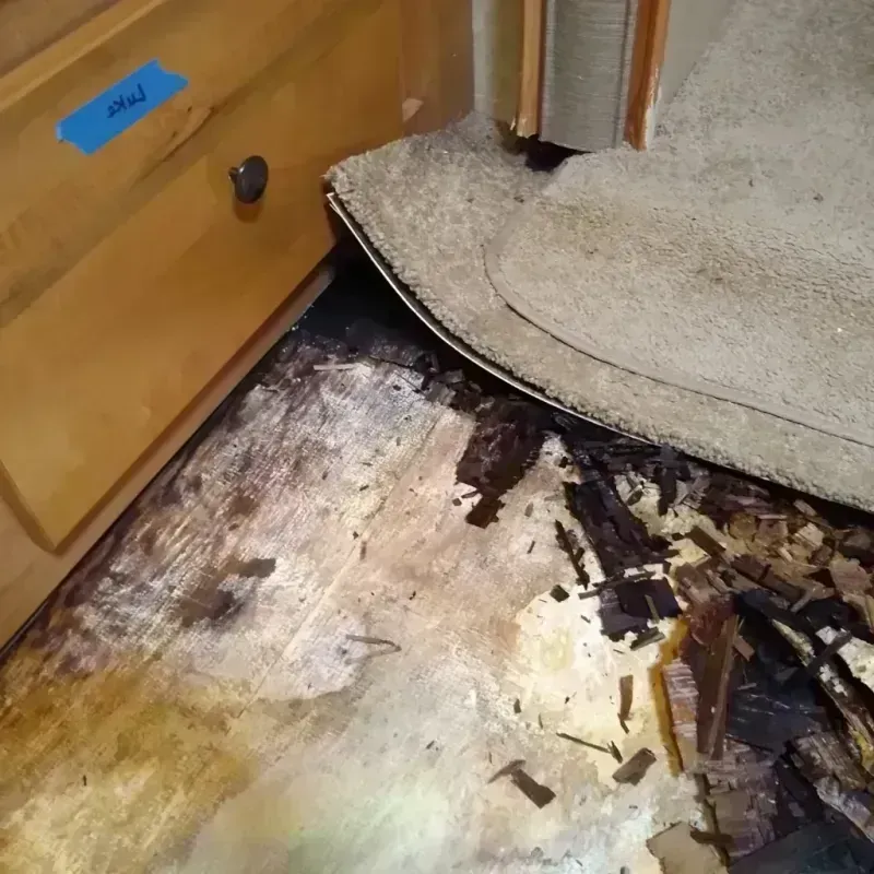 Wood Floor Water Damage in Drum Point, MD